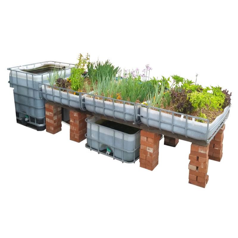 Aquaponics Kits for sale in South Africa – SME Warehousing Solution